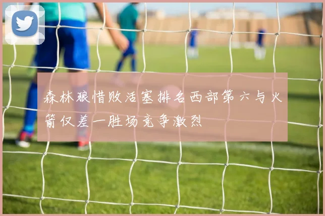 森林狼惜败活塞排名西部第六与火箭仅差一胜场竞争激烈
